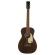 Guitarra acústica Gretsch G9500 Jim Dandy FS