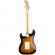 Fender American Original 50s Stratocaster MN 2CS - Guitarra eléctrica