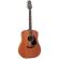 Takamine GD11M-NS - Guitarra acústica