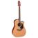 Takamine P1DC - Guitarra acústica electrificada