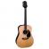 Takamine EF360GF Glenn Frey - Guitarra acústica electrificada