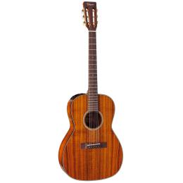 Takamine EF407 - Guitarra acústica electrificada