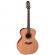 Takamine EN20 - Guitarra acústica electrificada