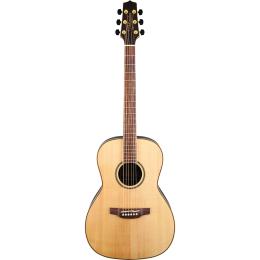 Takamine GY93-NAT