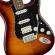 Fender Player Stratocaster HSS Plus Top PF TBS - Guitarra eléctrica