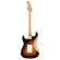 Fender Vintera 60s Stratocaster PF 3TS - Guitarra eléctrica