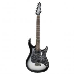 Guitarra eléctrica Peavey Raptor Custom Silverburst