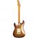 Guitarra eléctrica Fender American Ultra Stratocaster MN MBST
