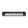 Teclado portatil Casio CTK-240