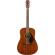 Guitarra acústica Fender CD-60S WN All Mahogany