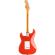Guitarra eléctrica Squier Classic Vibe 50s Stratocaster MN FRD