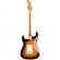 Guitarra eléctrica Squier Classic Vibe 50s Stratocaster MN 2CS