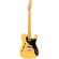 Guitarra eléctrica Fender Britt Daniel Tele Thinline MN AMG