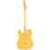 Guitarra eléctrica Fender Britt Daniel Tele Thinline MN AMG