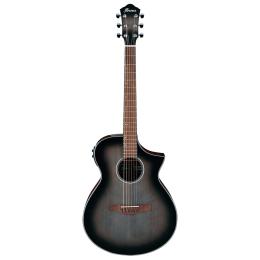 Ibanez AEWC11-TCB