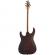 Guitarra eléctrica Jackson Dinky DK2 Modern Ash HT6 BRD