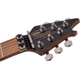 Guitarra eléctrica EVH Wolfgang Standard QM BM BKF