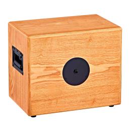 Bafle guitarra acústica Ortega S One