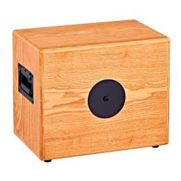 Bafle guitarra acústica Ortega S Two