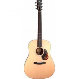 Furch Vintage 1 RS-SR LR Baggs Anthem