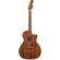 Guitarra electroacústica Fender Newporter Special MAH