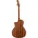 Guitarra electroacústica Fender Newporter Special MAH