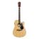 Guitarra acústica electrificada Alvarez AD70WCE Artist Dreadnought NAT