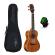 Pack ukelele concierto Alvarez RU90CP Regent Ukelele Concert Pack