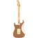Guitarra eléctrica Fender Road Worn 60s Stratocaster PF FMG