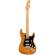Guitarra eléctrica Fender American Pro II Stratocaster HSS MN RSTP
