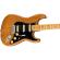 Guitarra eléctrica Fender American Pro II Stratocaster HSS MN RSTP