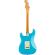 Guitarra eléctrica Fender American Pro II Stratocaster RW MBL