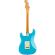 Guitarra eléctrica Fender American Pro II Stratocaster RW MBL