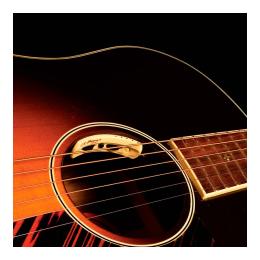 Pastilla guitarra acústica micrófono L.R.Baggs Anthem