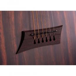 Guitarra electroacústica Michael Kelly Forte Port Exotic JE
