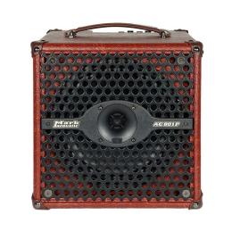 Combo guitarra acústica DV Mark AC 801P