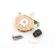 Selector cambio de pastillas Fender 3-Way Selector Switch