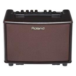 Roland AC-33RW