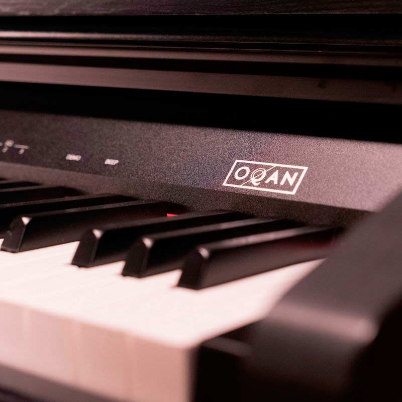 Roca fusión astronomía ▷ Oqan QP88C Digital Piano - Piano para principiantes