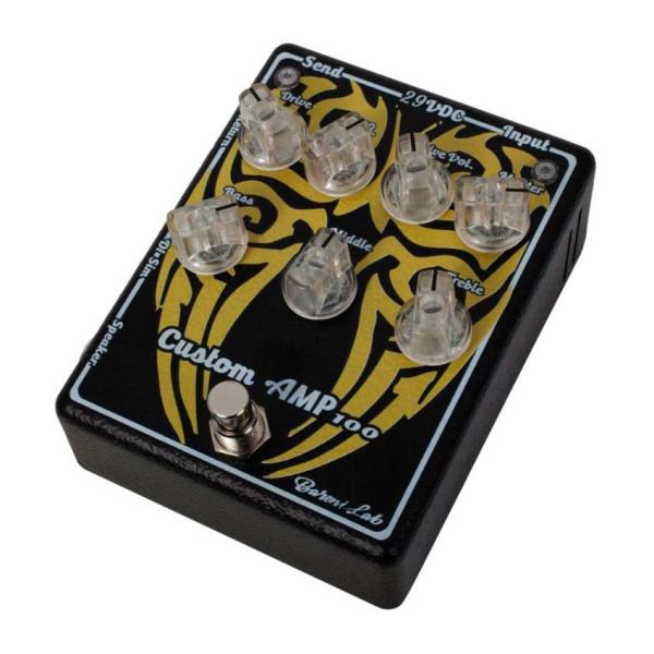 Baroni Lab Mini Amp 100
