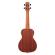 Comprar ukelele concierto Ibanez UKC100-OPN