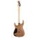 Comprar guitarra Charvel Pro-Mod DK24 HH HT EB Desert Sand