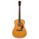 Guitarra acústica electrificada Fender PD-220E Dreadnought Natural