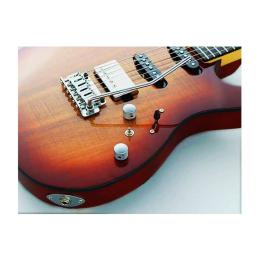 Comprar guitarra FGN Fujigen Odyssey JOS2DUEW2R KNB