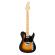 Comprar guitarra japonesa FGN Fujigen Iliad JIL2ASHM 2TS