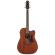 Comprar acústica alta gama Ibanez AAD440CE-LGS
