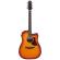 Comprar guitarra acústica electrificada Ibanez AAD50CE-LBS