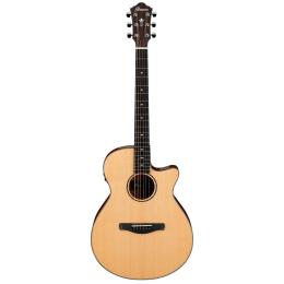 Comprar guitarra electroacústica Ibanez AEG200-LGS