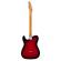 Guitarra eléctrica Fender Gold Foil Telecaster EB CAB