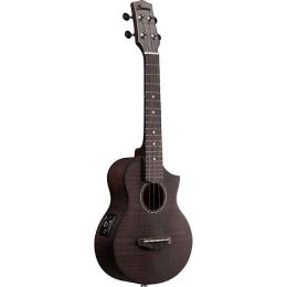 Comprar ukelele concierto Ibanez UEW12E-BIF